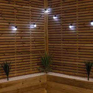 Set of 10 Indoor Outdoor Connectable Party Festoon Lights with Cool White LEDs