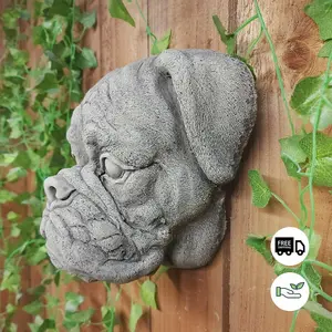 Boxer Dog Head Stone Wall Plaque