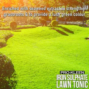 Pro-Kleen Lawn Tonic Liquid Iron Sulphate Quality Ferrous Conditioner Fertiliser Grass Greener Turf Hardener 20L