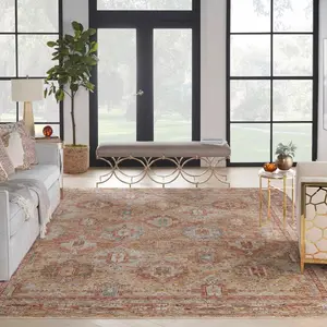 Rust Traditional Bordered Geometric Easy to clean Rug for Dining Room Bed Room and Living Room-69 X 310cm (Runner)