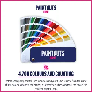 PaintNuts UPVC Door & Window Matt Paint - Jet Black - 1L Tin (RAL9005)