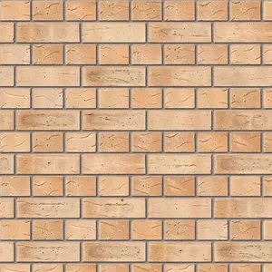 Ibstock Minster Beckstone Mix  Brick 65mm Mini Pack 250