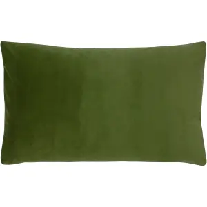 Paoletti Sunningdale Velvet Feather Rich Cushion