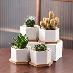 simpa 6PC White Hexagonal Ceramic Plant Pots with Bamboo Base