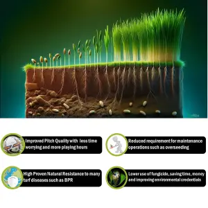 Pegdev - PDL - ProGrow Grass Seed, Fast-Growing Grass Seed - High Density, Disease Resistant, Drought Tolerant (10g)