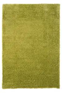 Lime Green Thick Soft Shaggy Area Rug 60x110cm