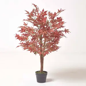 Homescapes Acer Tree in Pot, 90 cm Tall