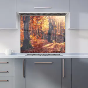 Autumn Forest Premium Glass Kitchen Splashback W600mm x H600mm