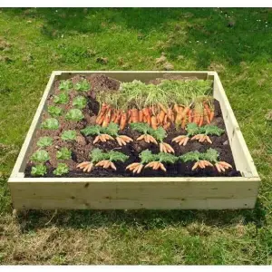 Wooden Raised Veg Beds Pack of 3 - 1m x 1m