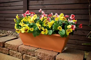 Best Artificial 30cm Lilac Pansy Plug Plant - Pot Not Included