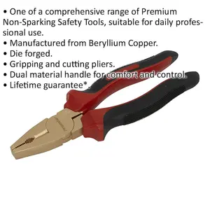 200mm Non-Sparking Combination Pliers - Gripping & Cutting Pliers - Die Forged