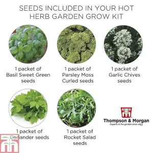 Seed Growing  Kit - Herb Garden