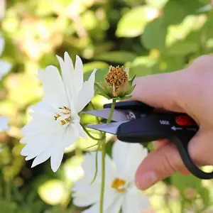 Darlac DP125 Deadheading Snips Pruners Secateurs Scissors Flower De-Heading Tool