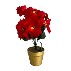 Artificial LED Red Poinsettia Plant in Gold Pot - Faux Realistic Floral Home Christmas Decoration with 10 Lights - H35 x 28cm