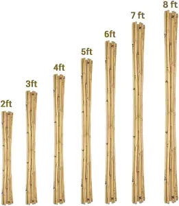 5ft Bamboo Plant Support Pack of 50 Garden Canes