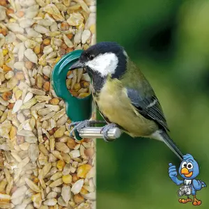 2.5L BusyBeaks No Mess Seed Mix - Wild Bird Feed Premium Quality Garden Food