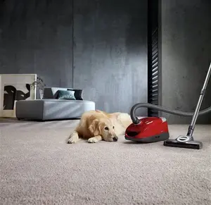 Miele Compact C2 Cat & Dog Corded Cylinder Vacuum Cleaner