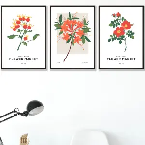 Set of 3 Framed Vintage Graphical Orange Flower Market / 42x59cm (A2) / Black