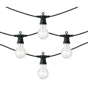 10 Bulb Festoon Lights Warm White