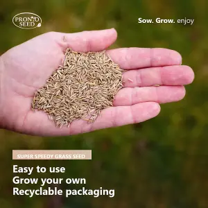 Pronto Seed Grass Seed 400g - 24m2 Coverage Fast Growing Grass Seed - Hardwearing Lawn Seed