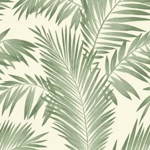 Arthouse Tropical Palm Green Wallpaper