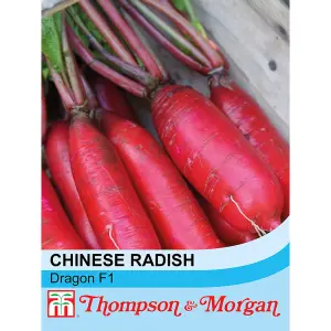 Radish (Chinese) Dragon F1 Hybrid 1 Seed Packet