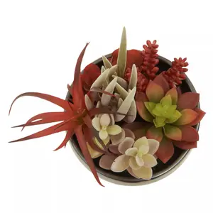 Fiori Mixed Succulents In Grey Ceramic Pot Artificial Plant Foliage