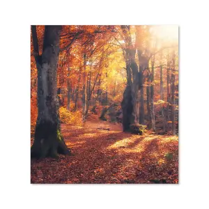 Autumn Forest Premium Glass Kitchen Splashback W600mm x H600mm