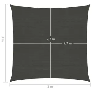 Berkfield Sunshade Sail 160 g/m2 Anthracite 3x3 m HDPE