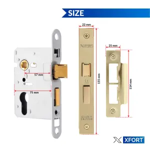 XFORT Polished Brass Euro Profile Sashlock 75mm