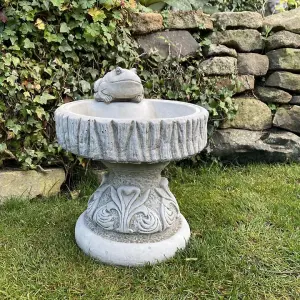 Rustic Garden Birdbath with Frog atop