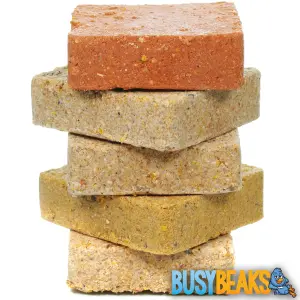 100 x BusyBeaks Mixed Suet Fat Blocks - Premium Grade High Protein Bird Food For Wild Birds