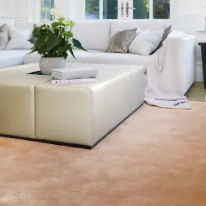 Pink Plain Modern Rug Easy to clean Living Room and Bedroom-120cm X 170cm