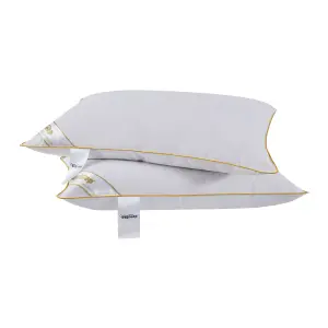 Luxury Goose Feather and Down Pillow - Set of 2