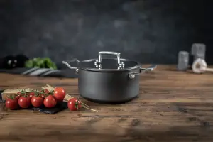 Kuhn Rikon New Life Pro Swiss Made Recycled Aluminium Induction Safe Casserole Pot, 24cm/6L