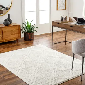 AFARIN Boho Shaggy Area Rug 160 x 213 cm