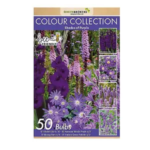 Colour Collection Spring Flower Bulbs-Purple (50 Bulbs) Bee Friendly