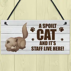 Novelty Funny Cat Sign Pet Sign Pet Gift For Family Home Decor Gift Keepsake