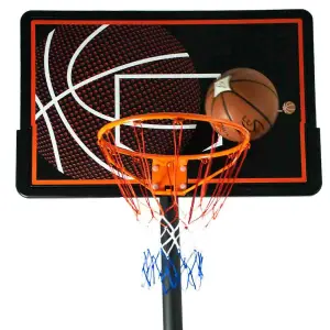 Basketball Hoop - Bee-ball Pro Bound - For All Ages