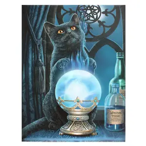 19x25cm The Witches Apprentice Canvas Plaque by Lisa Parker