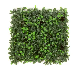 Pack of 12 Best Artificial Laurel Leaf Hedging 50cm x 50cm Mats (3 Square Metres)