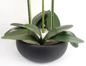 60cm Orchid Yellow - Black Ceramic Planter