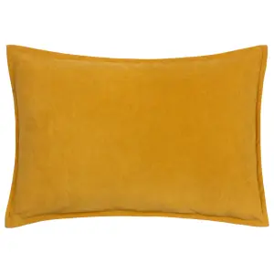 furn. Effron Washed Velvet Feather Rich Cushion