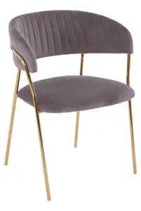 Interiors by Premier Soft Mink Velvet Dining Chair, Modern Dining Armchair, Mink and Gold Luxury Dining Chair for Home, Lounge