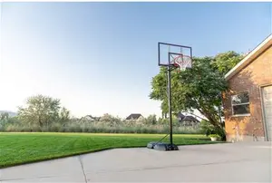 Lifetime Adjustable Portable Basketball Hoop 48-Inch Polycarbonate | Robert Dyas