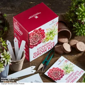 Gift Seed Grow Kit Stunning Succulents