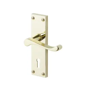 Colours Nehou Polished Brass effect Zamak Scroll Lock Door handle (L)96mm (D)55mm