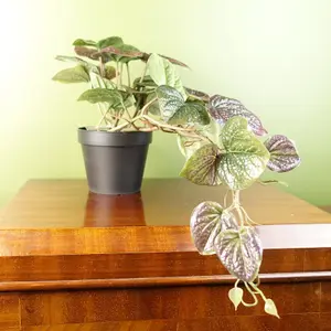 35cm Artificial Trailing Purple Potted Pothos Plant Realistic