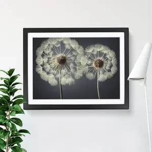 Creative Dandelion Flowers - Single Picture Frame Print Black / 46cm H x 64cm W x 2cm D