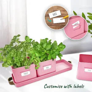 Herb Pots 2 Pack Pink Indoor Planters with Leather Handled Tray Ideal for Kitchen Windowsill Herb Garden